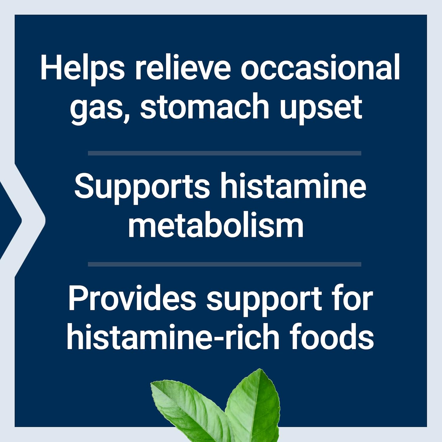 Life Extension Food Sensitivity Relief with Diamine Oxidase