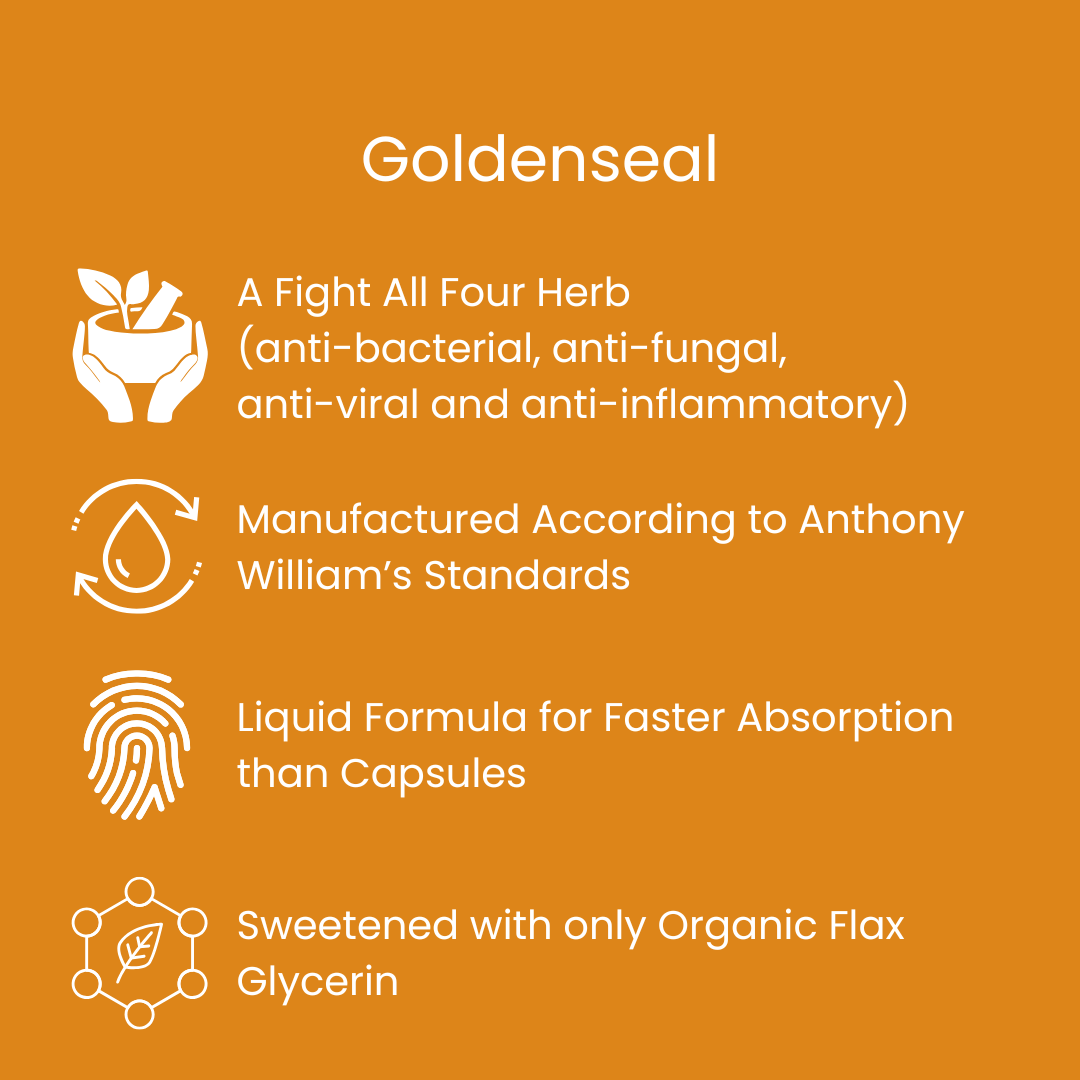 Orgamika Liquid Goldenseal 100ml - Organic