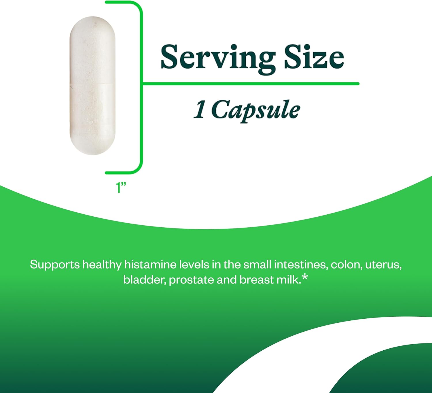 SeekingHealth DAO Enzyme (formely Histamine Digest) 90C