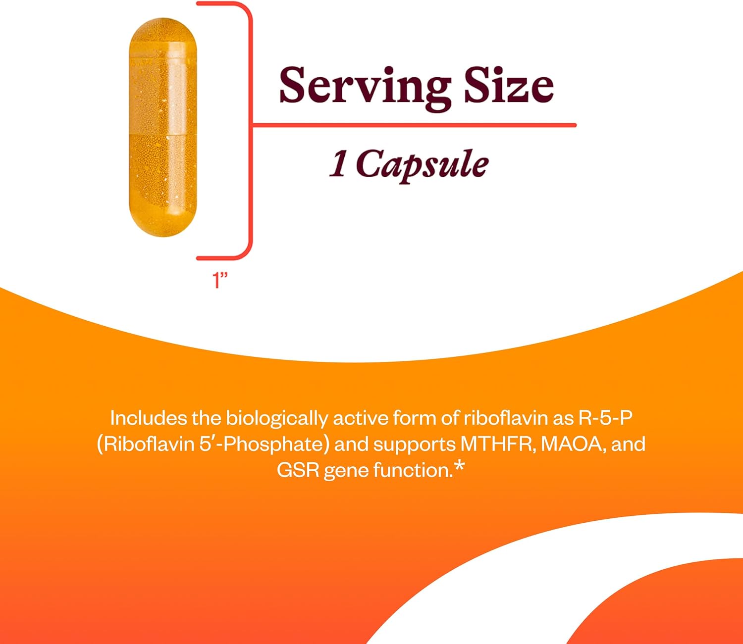 SeekingHealth Riboflavin