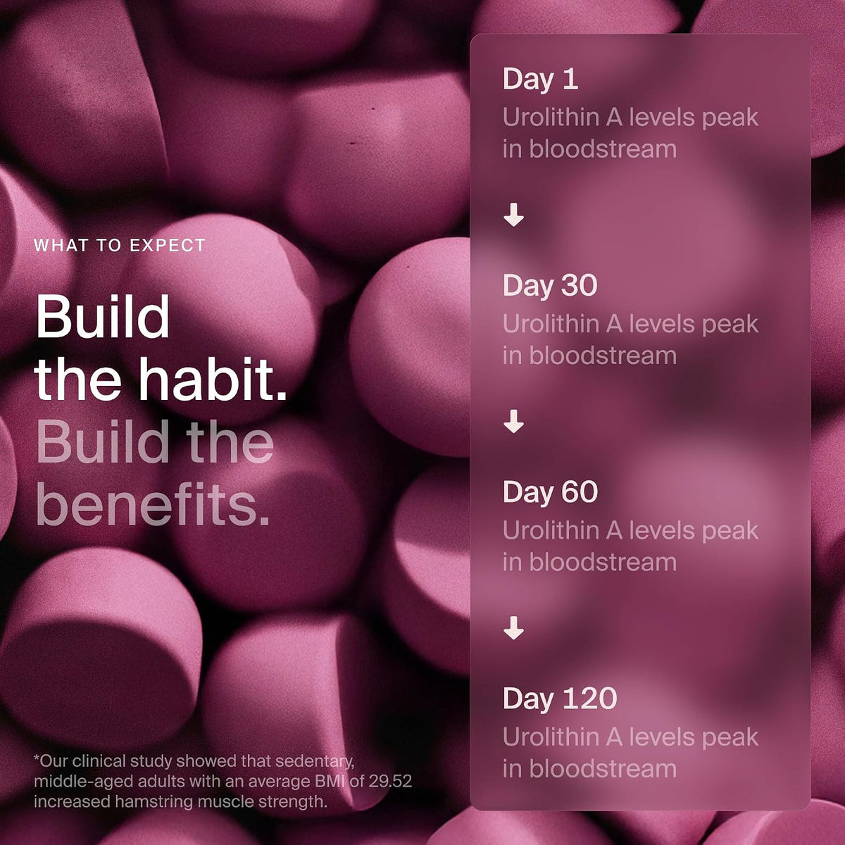 Timeline Mitopure Urolithin A - Gummies