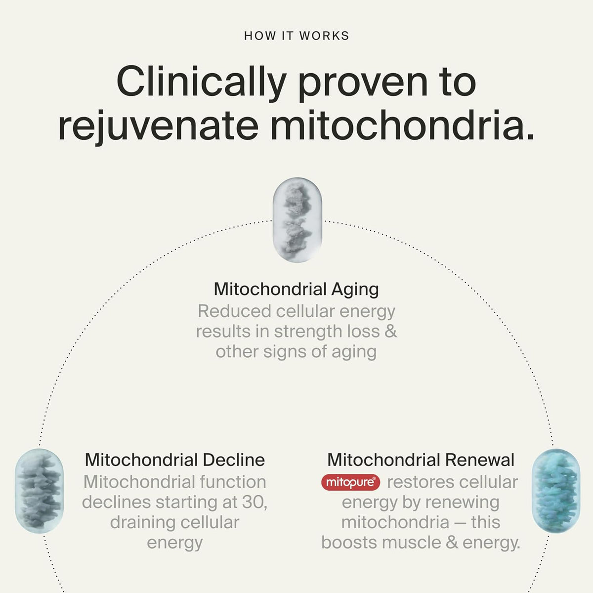 Timeline Mitopure Urolithin A - Gummies