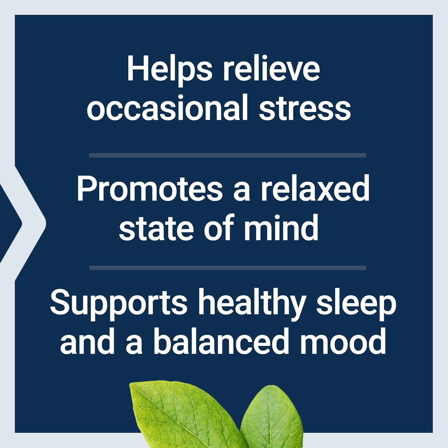 Life Extension GABA 60C