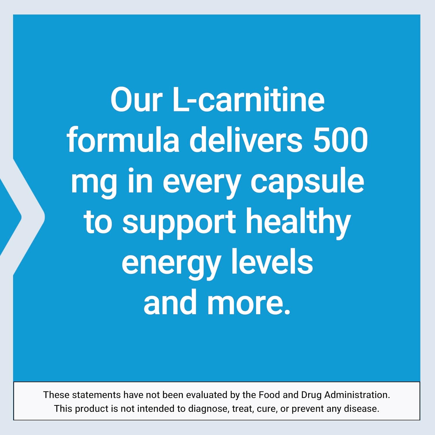 Life Extension L-Carnitine 500mg 30 Capsules