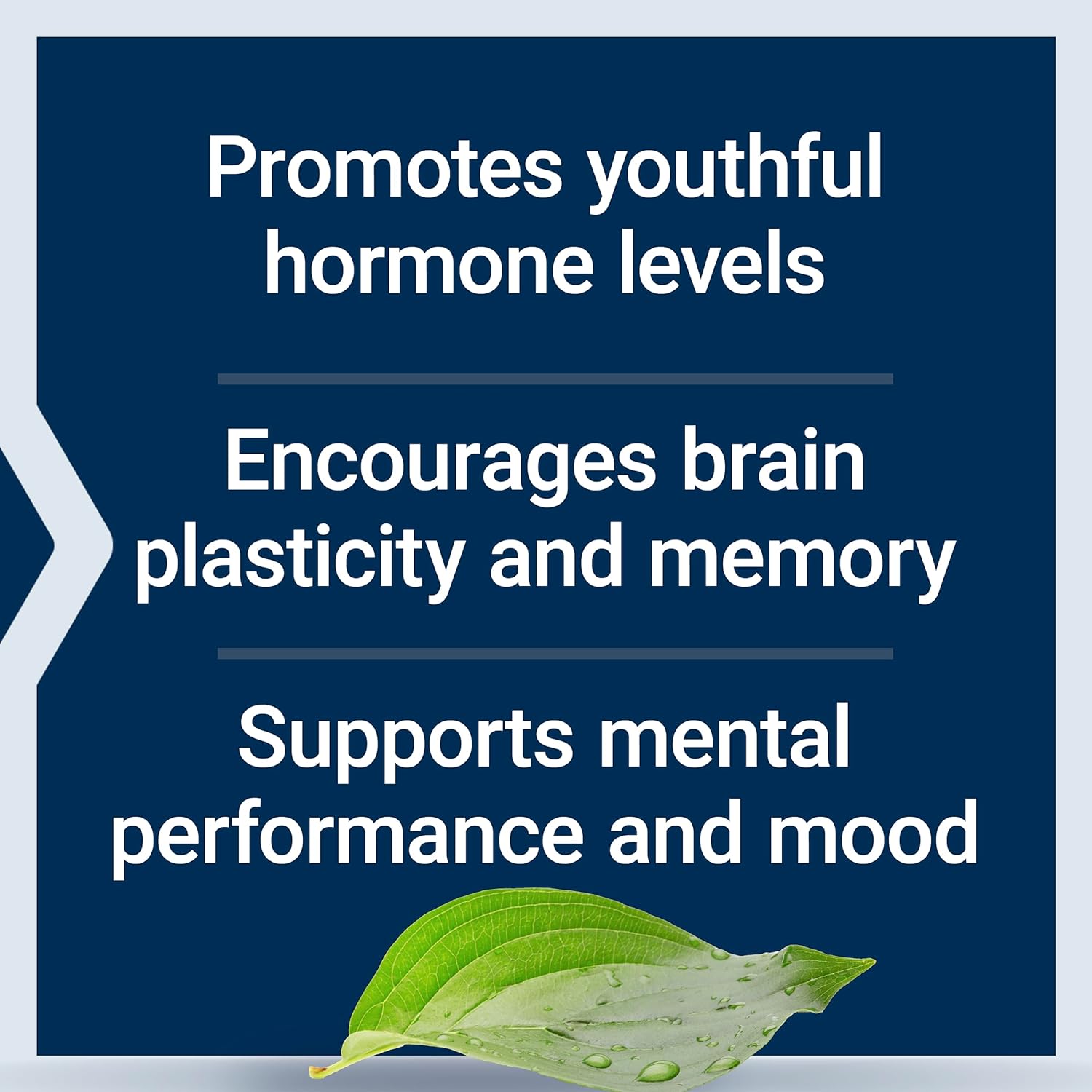 Life Extension Pregnenolone 100mg 100C