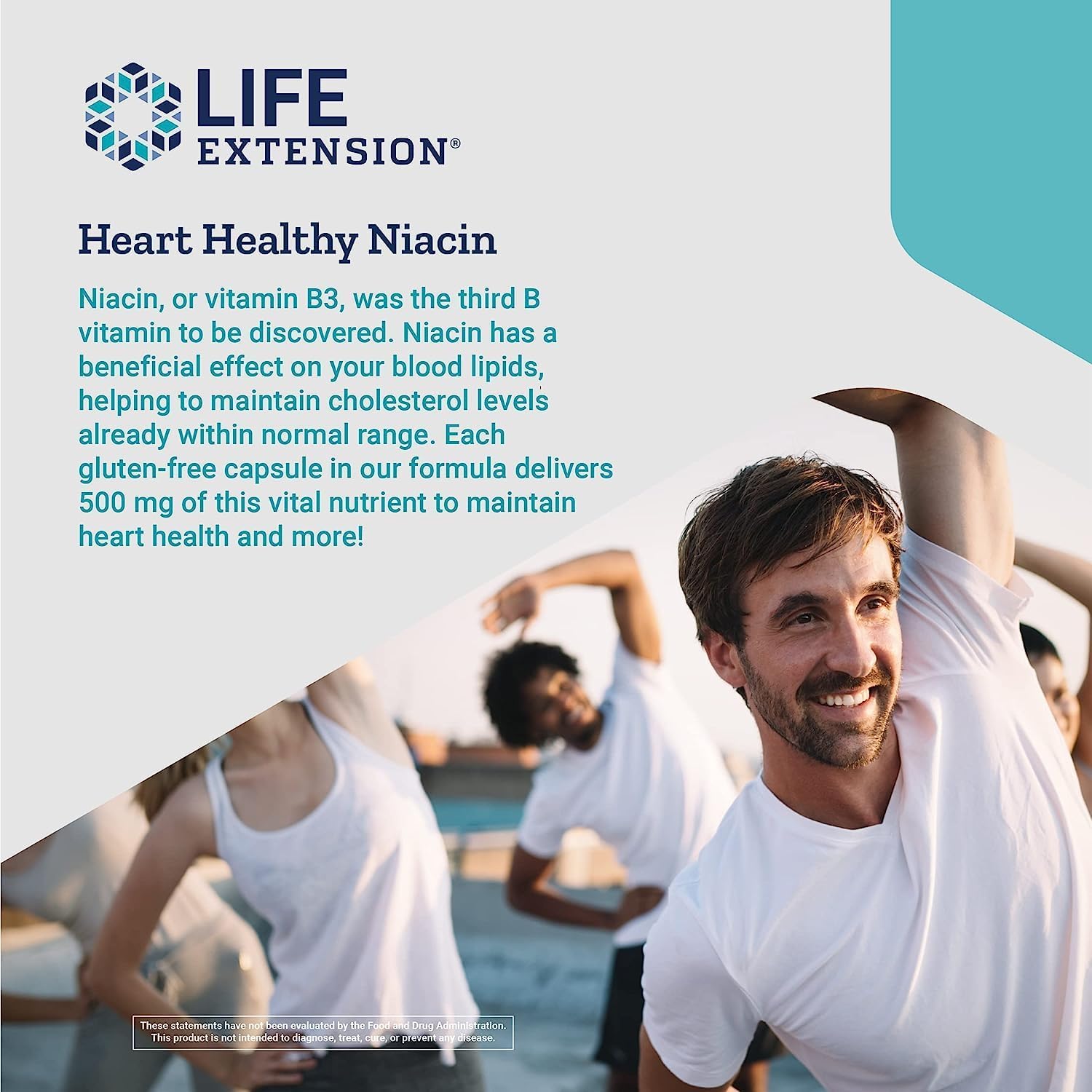 Life Extension Vitamin B3 Niacin 500 mg