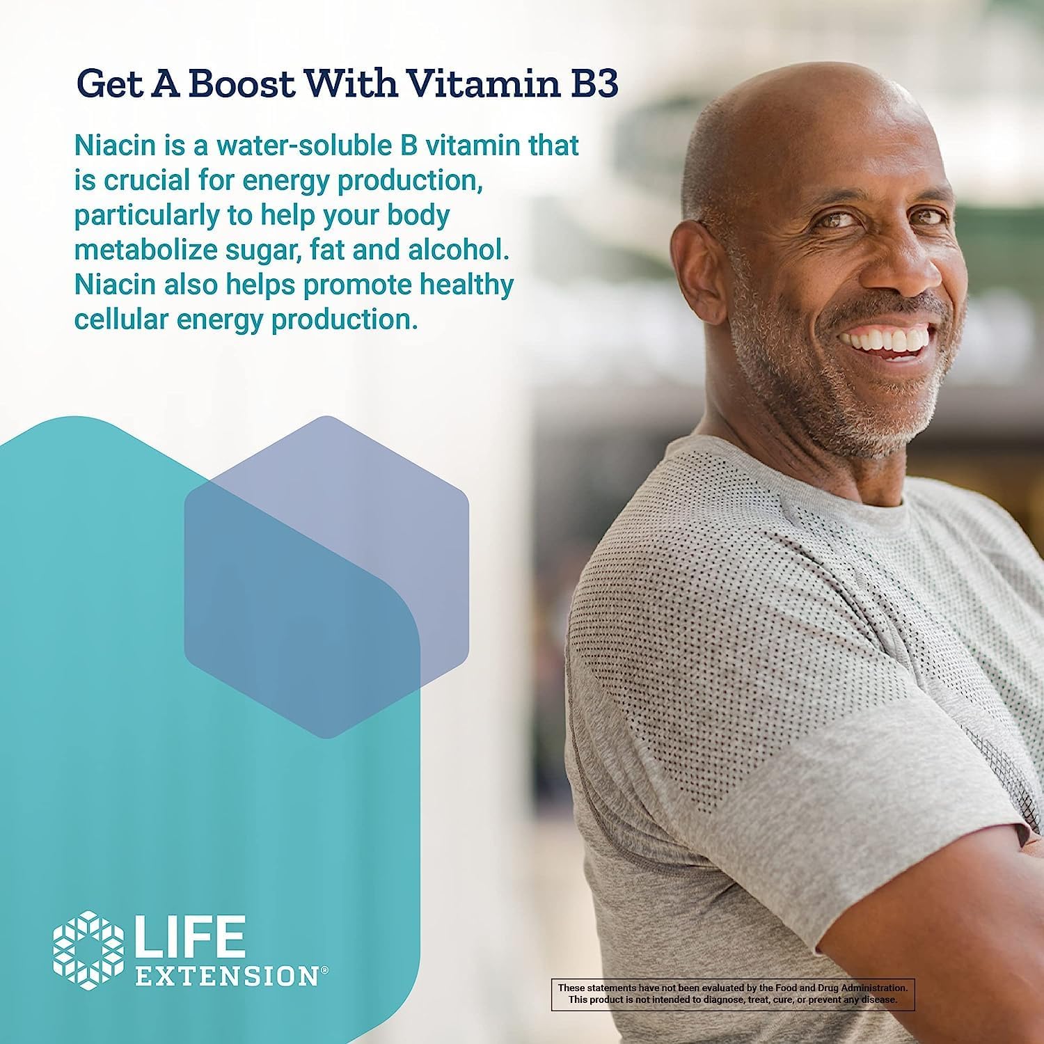 Life Extension Vitamin B3 Niacin 500 mg