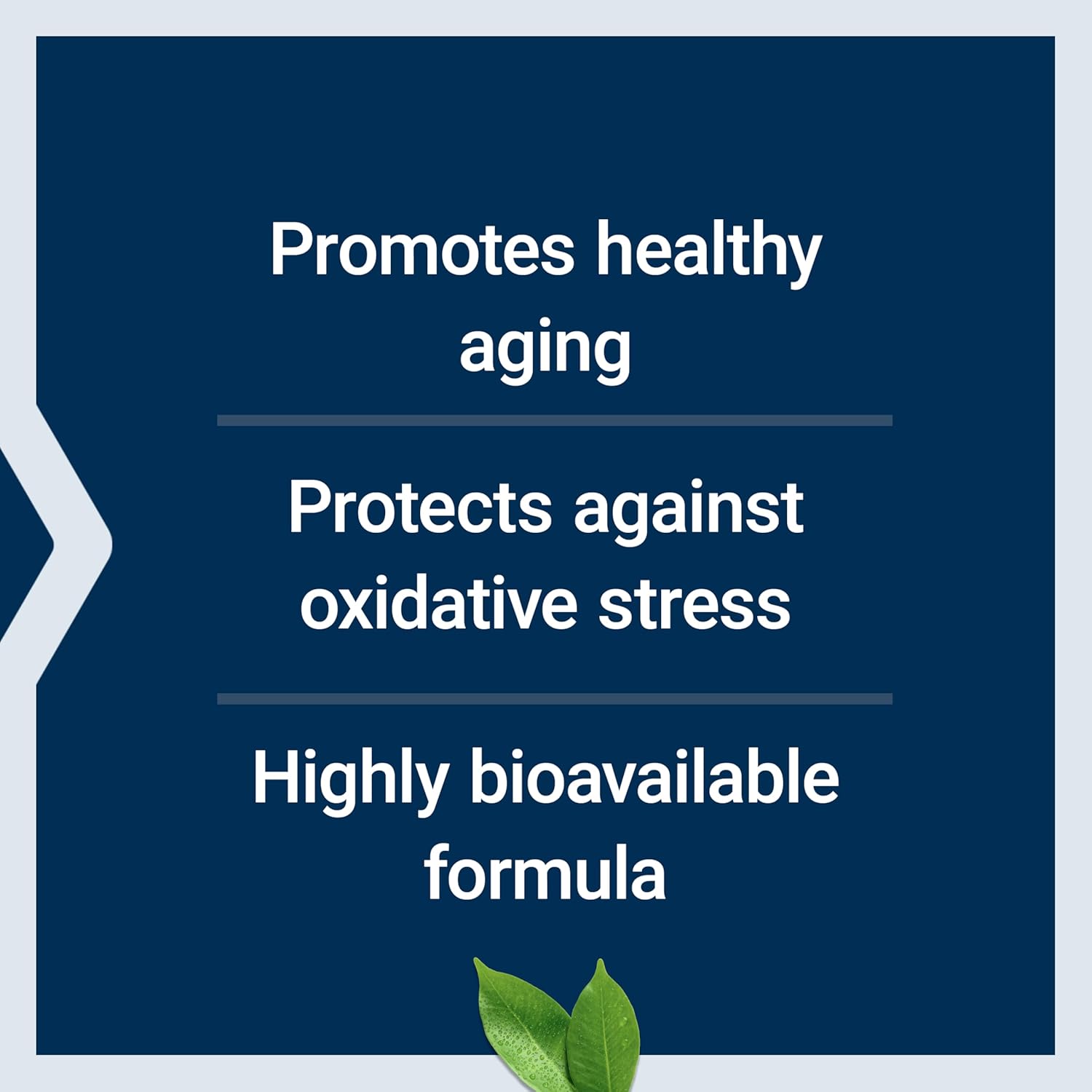 Life Extension Mega L-Ergothioneine 30 Capsules