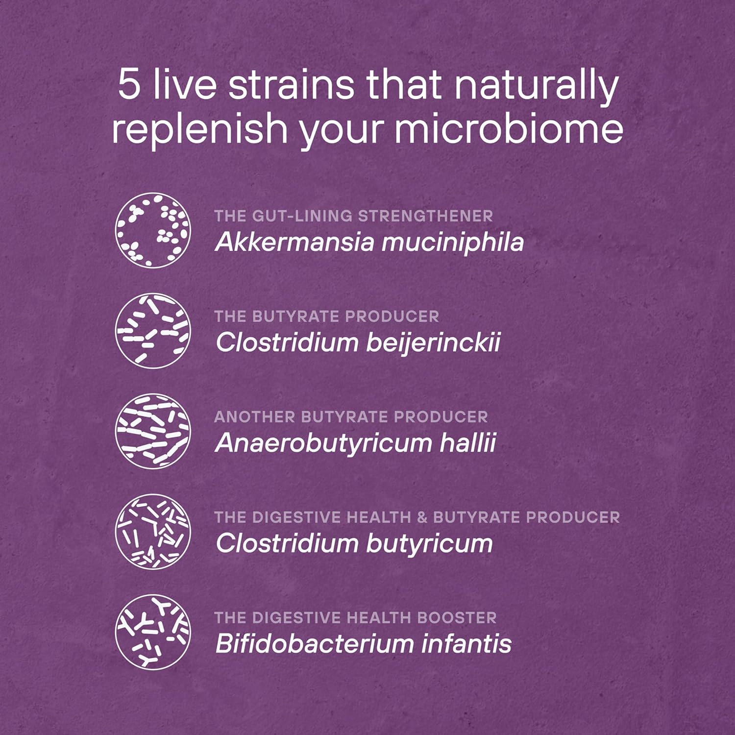 Pendulum Metabolic Daily (30 Day Supply)