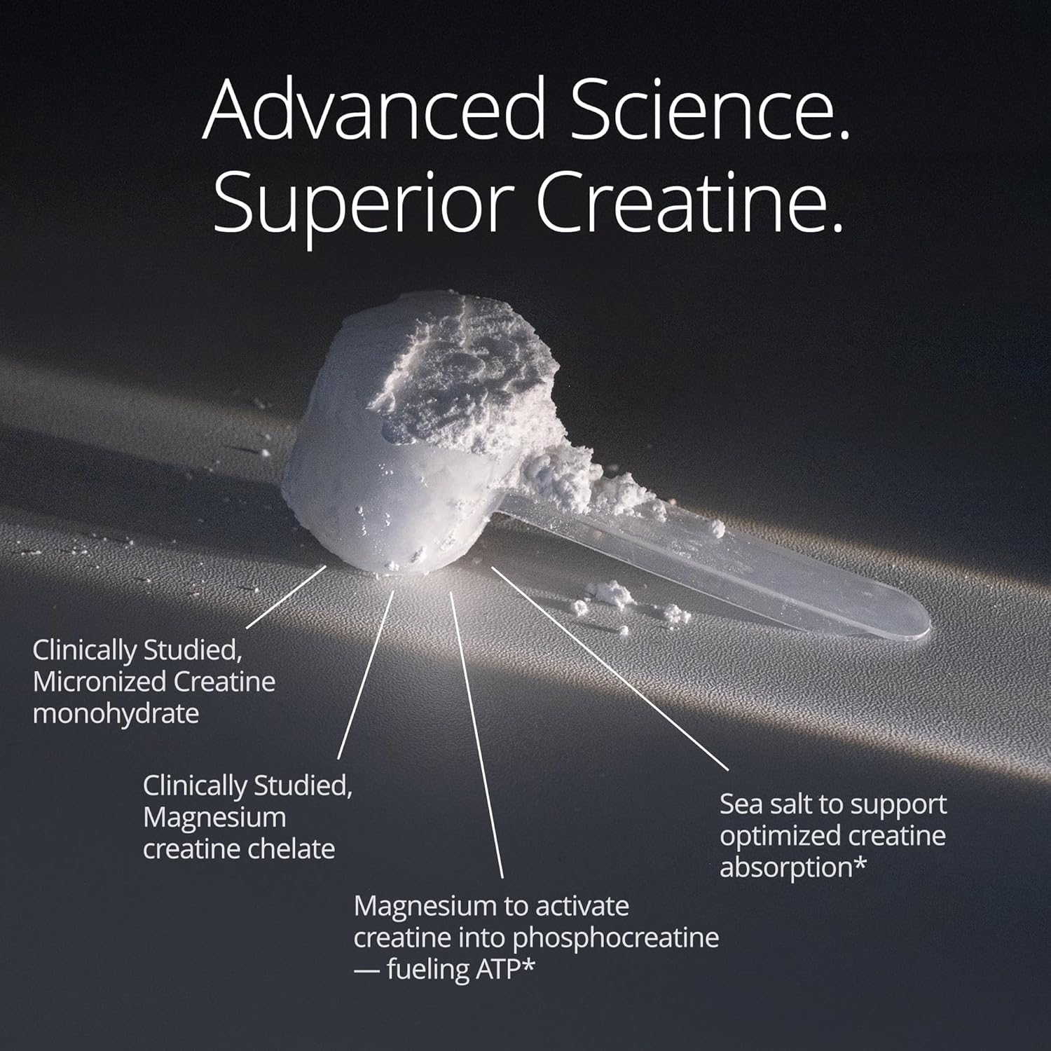 Neurohacker Collective Qualia Creatine+ (3 Week Supply)