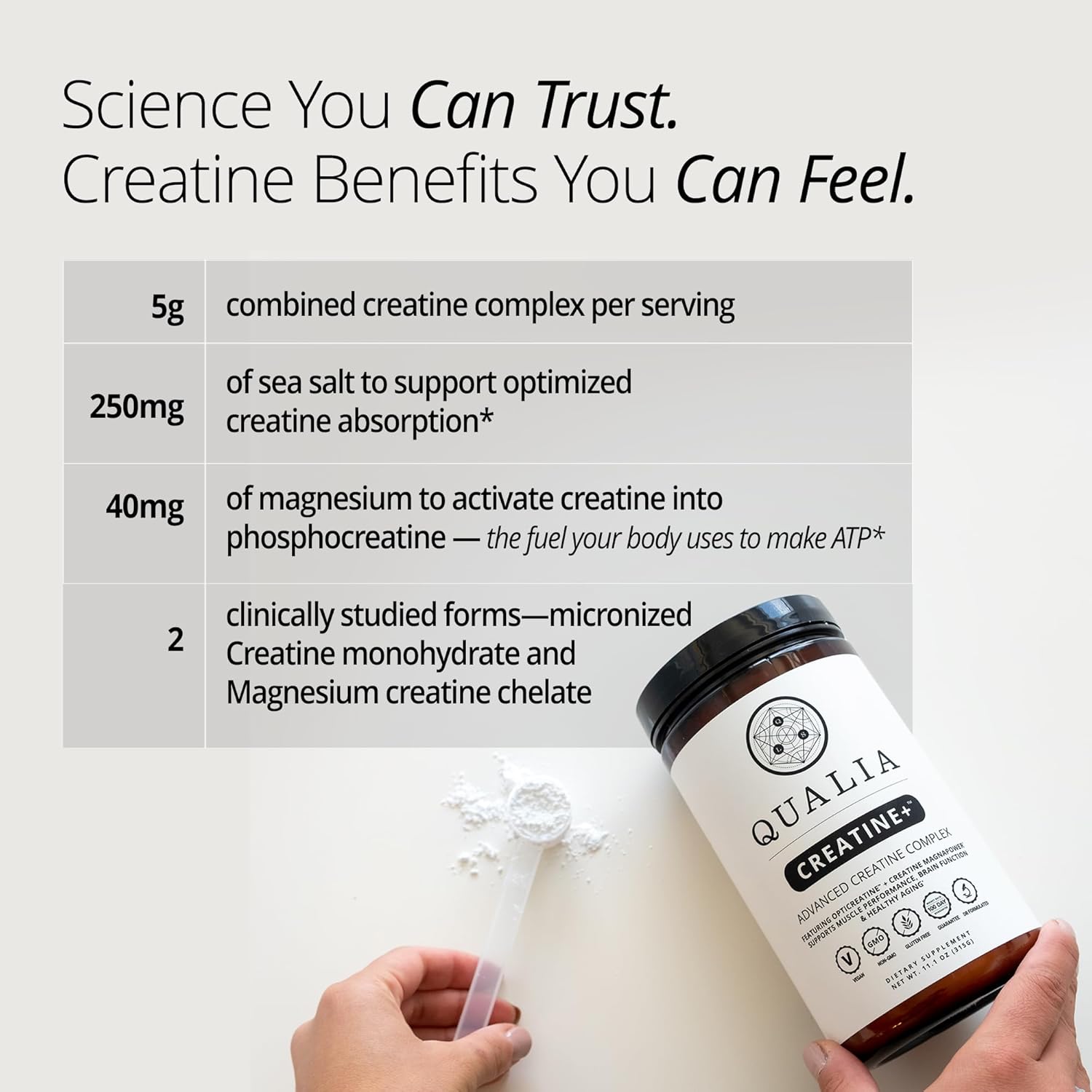 Neurohacker Collective Qualia Creatine+ (3 Week Supply)