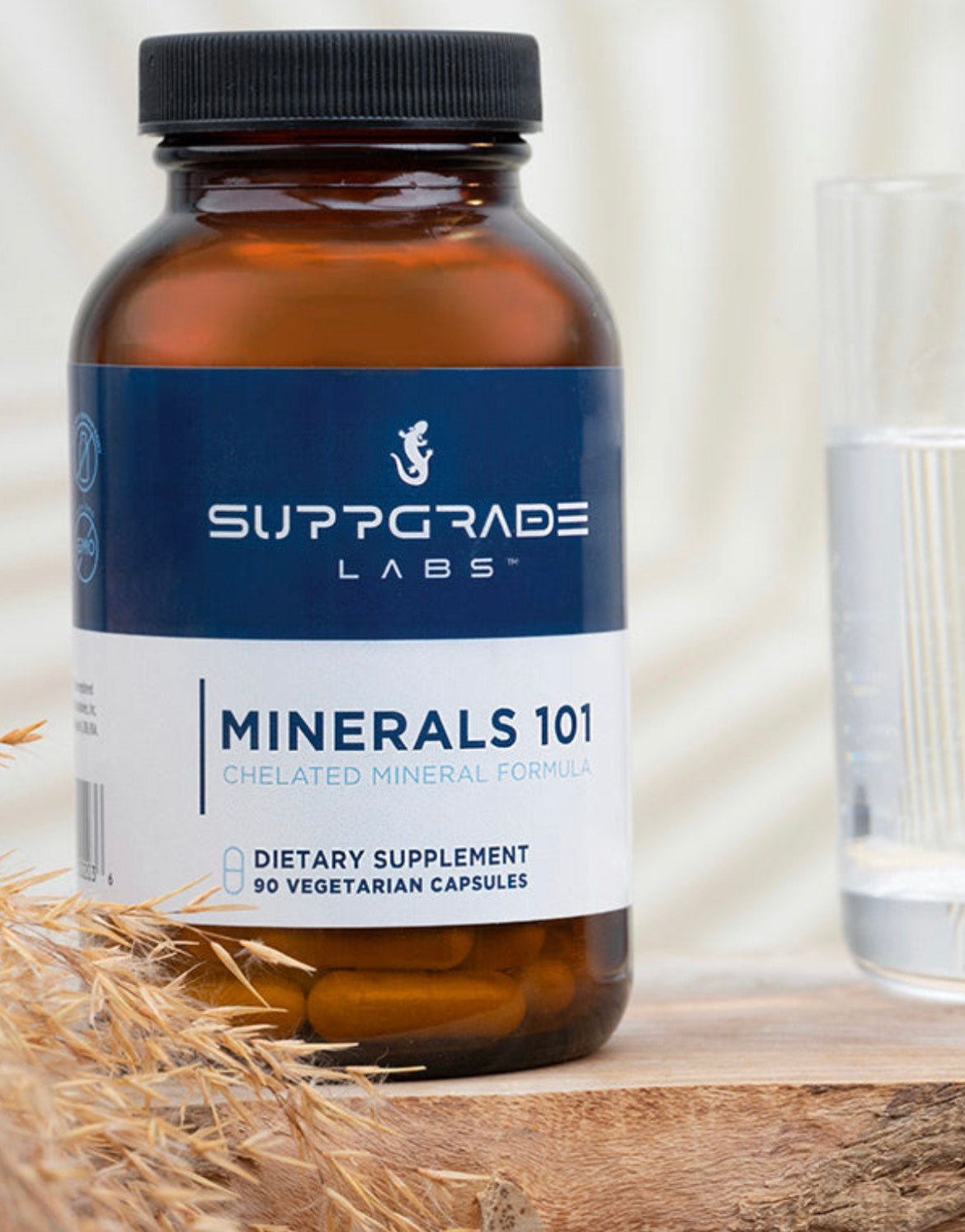 Suppgrade Labs Minerals 101