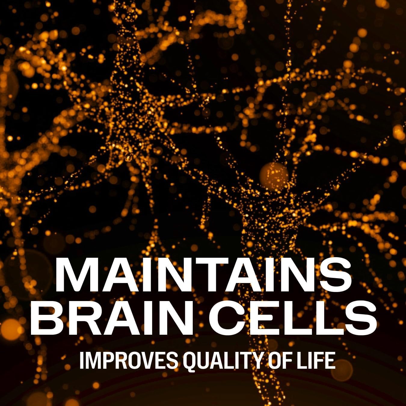 Vimergy Brain Body Memory