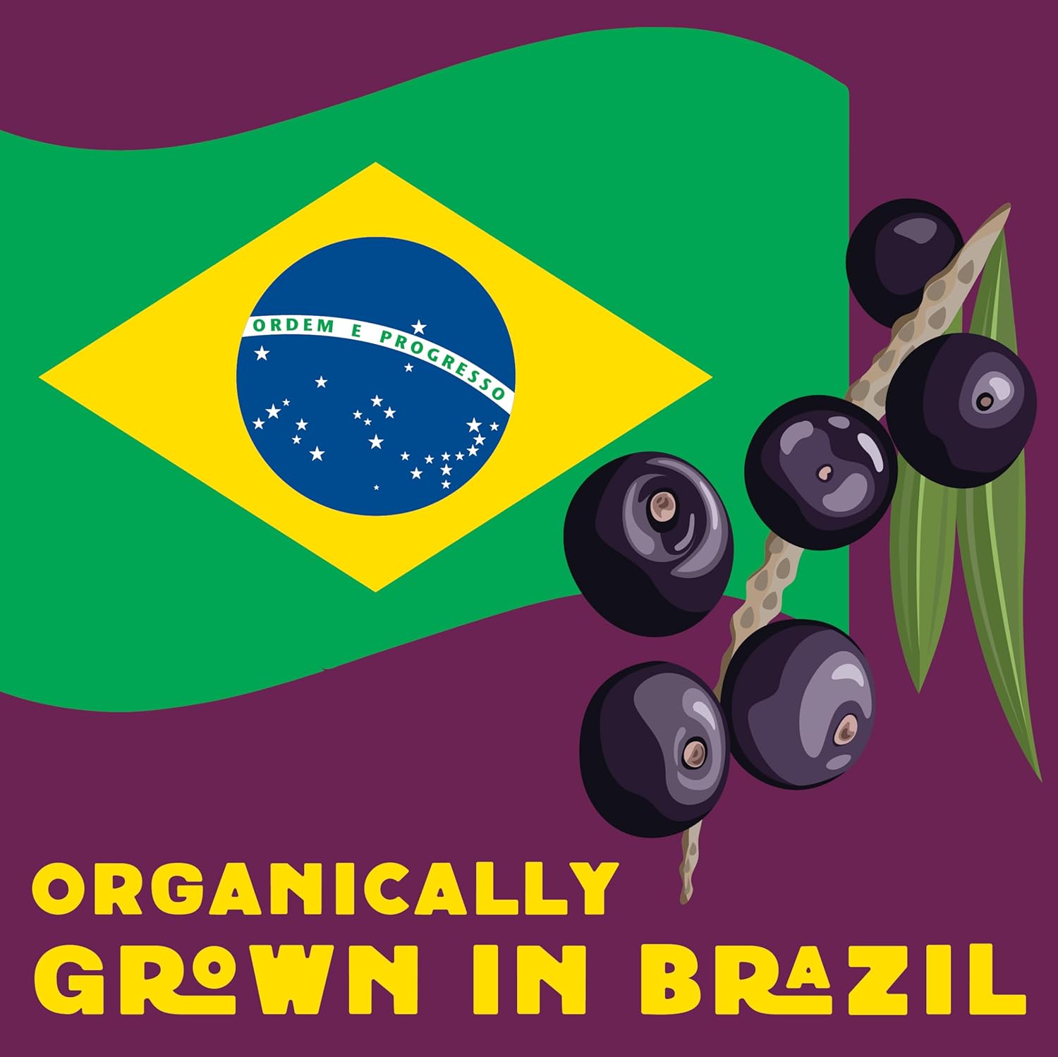 Wilderness Poets Organic Acai Powder 99g