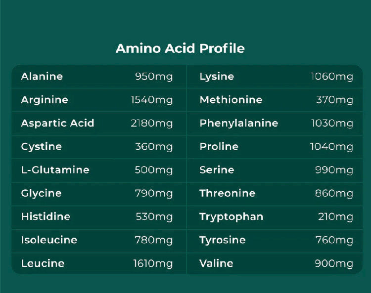 Cymbiotika Plant Protein