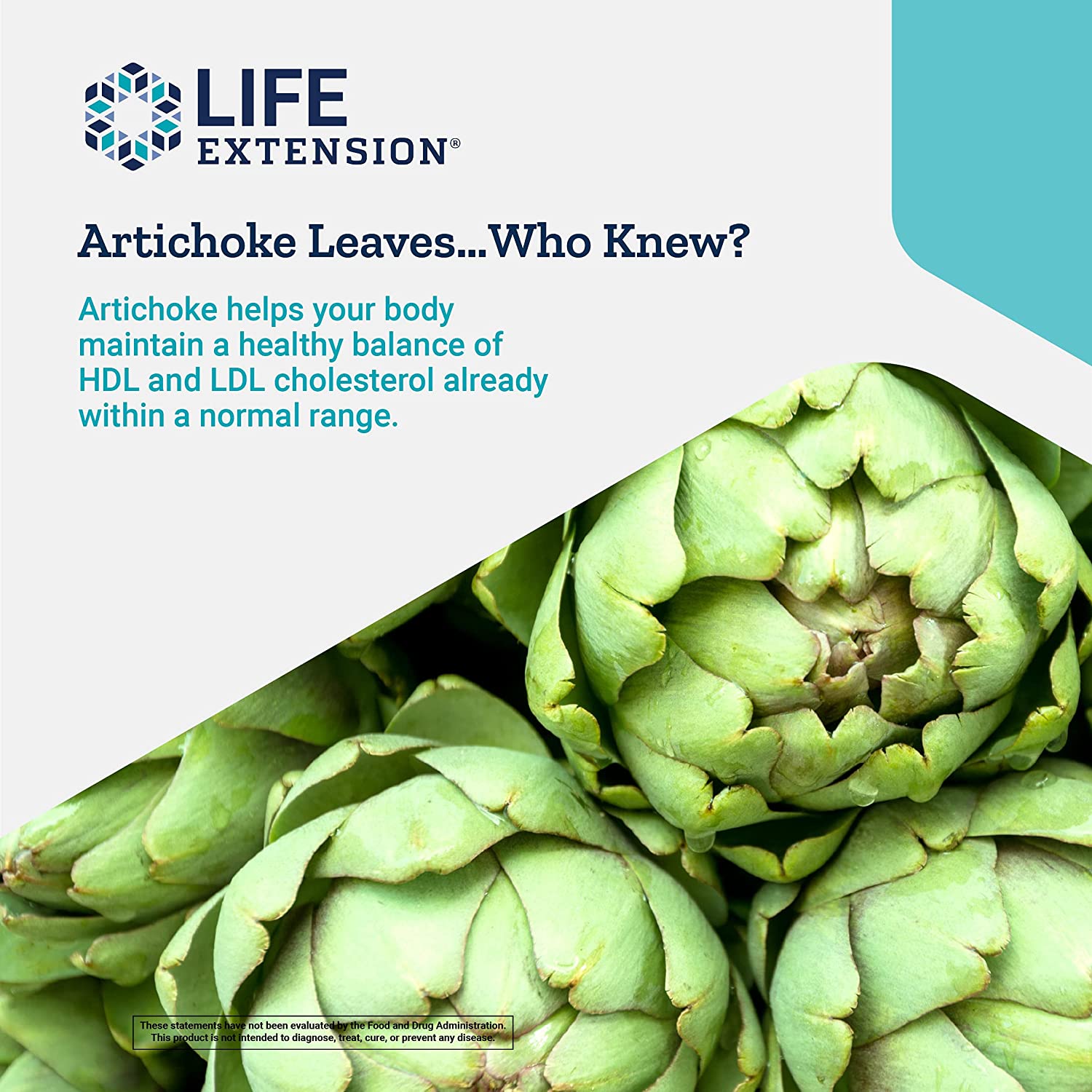 Life Extension CHOL-Support