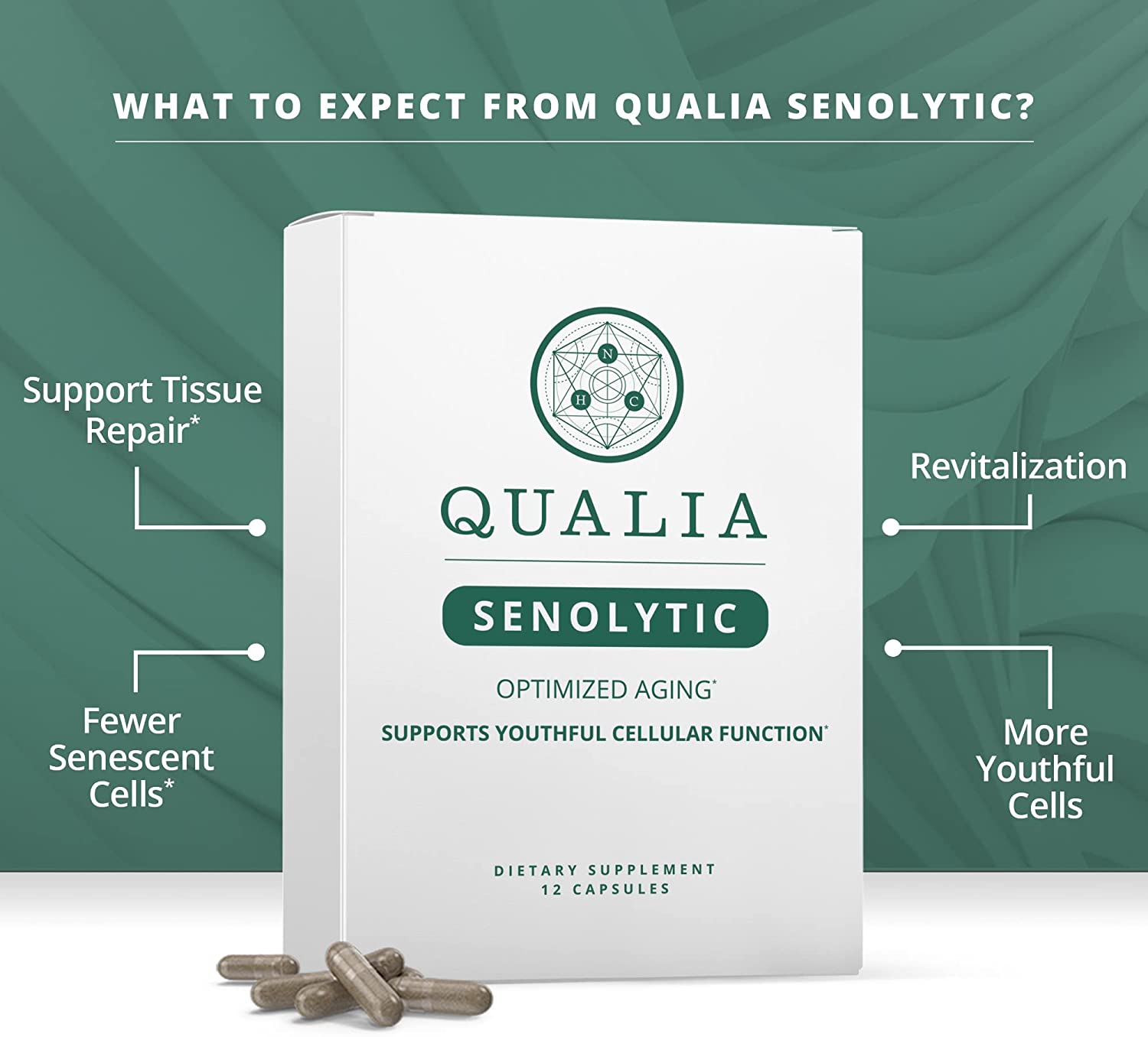 Neurohacker Collective Qualia Senolytic