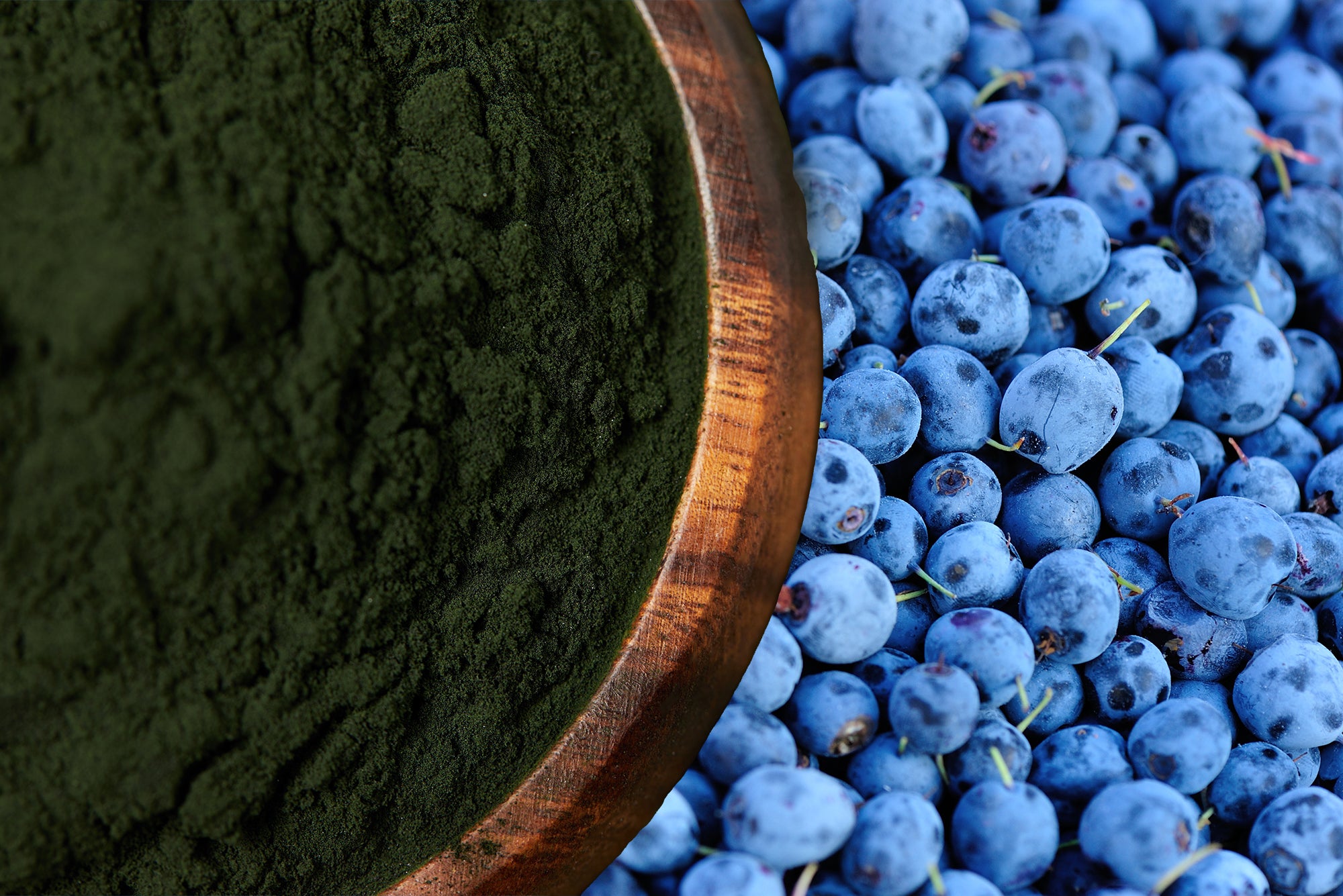 Antioxidant Replenishment: Boost Your Body's Defenses with Vimergy's Wild Blueberry and Spirulina Powders