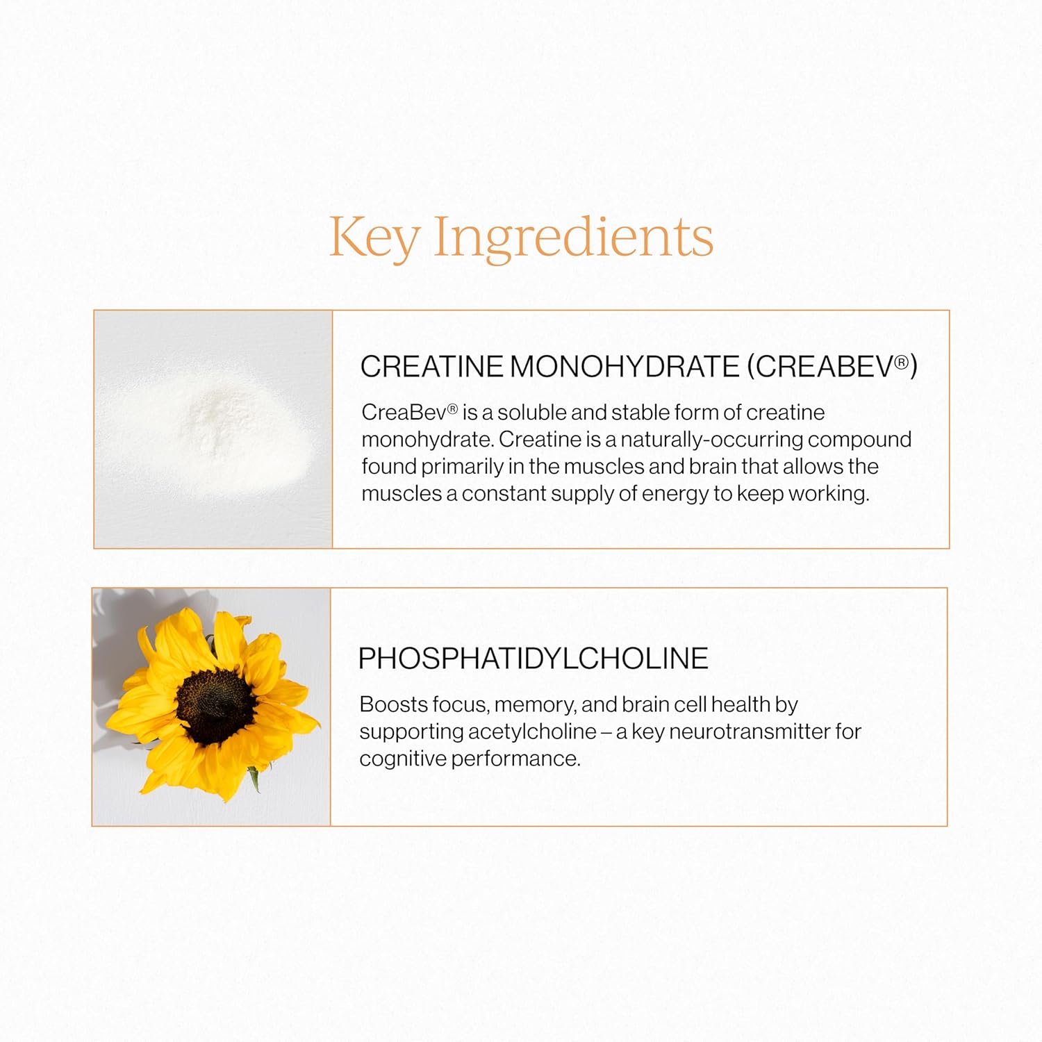 Cymbiotika Liposomal Advanced Creatine