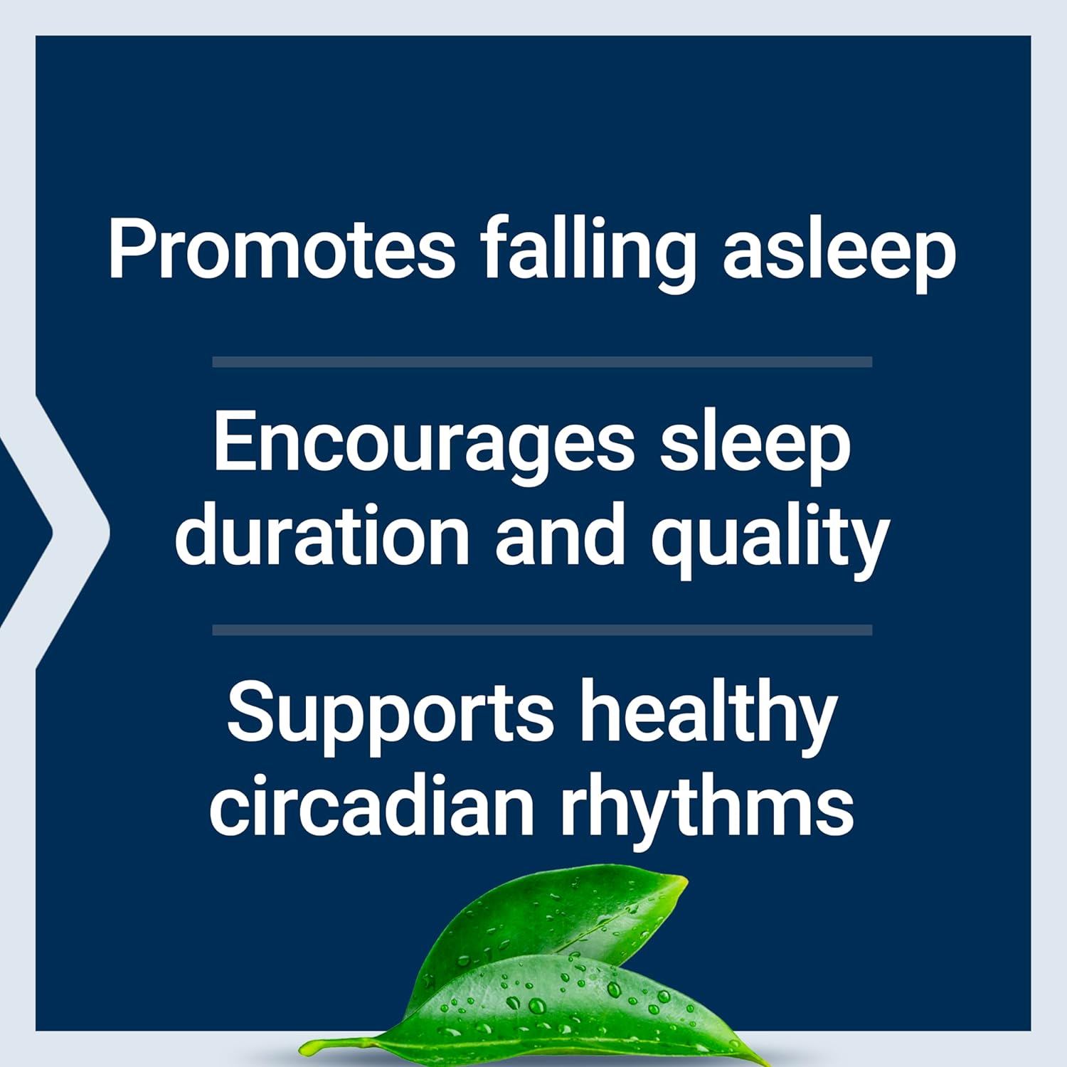 Life Extension Melatonin 6 Hour Timed Release 300mcg