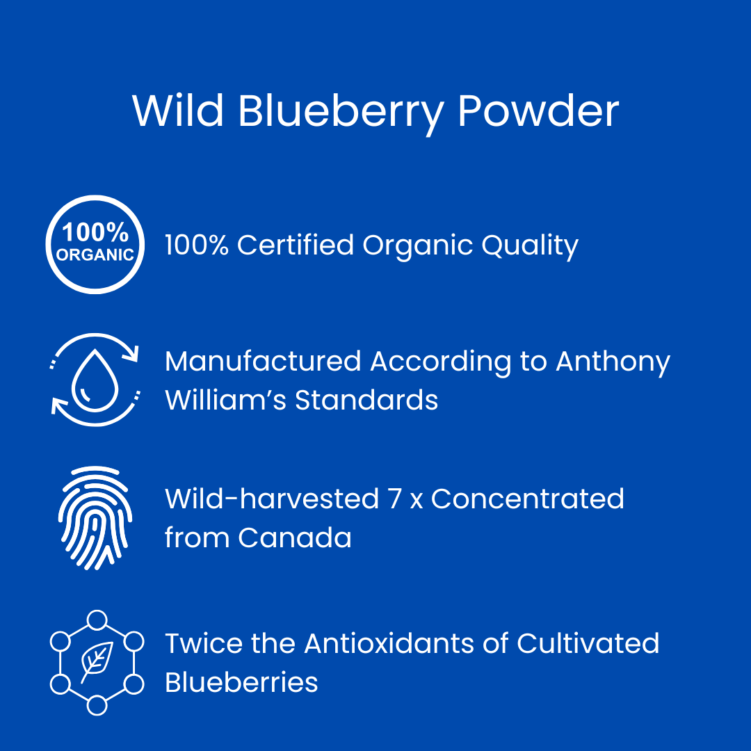 Orgamika Wild Blueberry Powder 400g - 100% Organic
