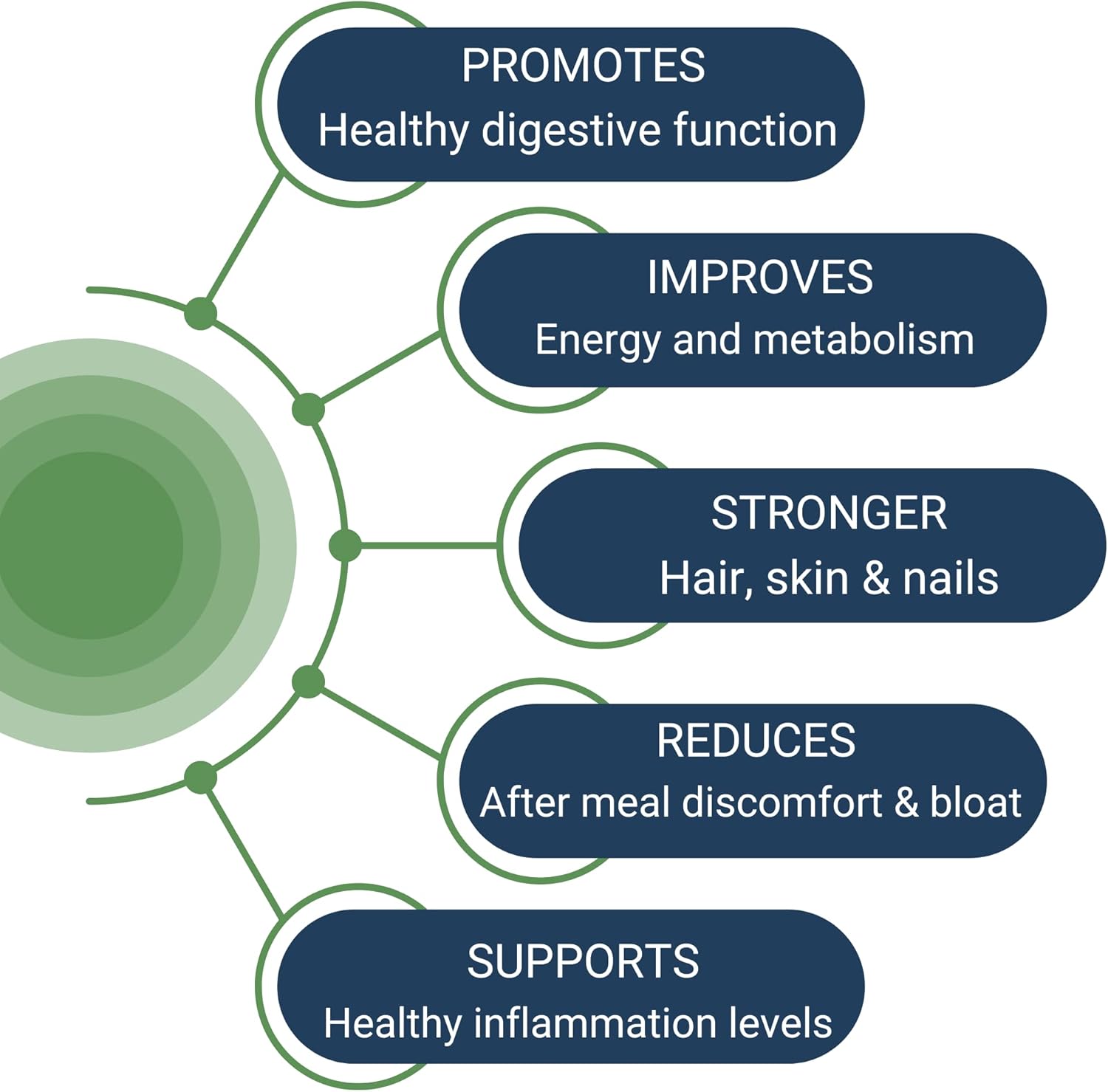 HealthyGut HCL Guard