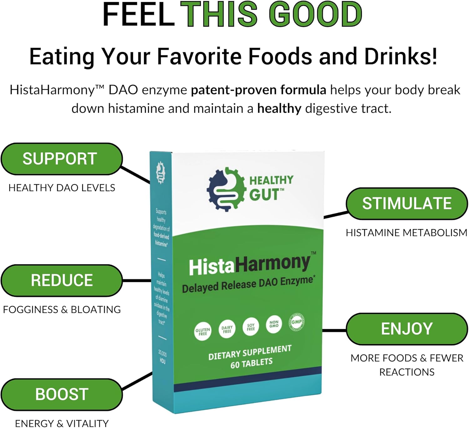 Healthy Gut HistaHarmony | Delayed Release DAO Histamine Support Enzyme | 60 Servings