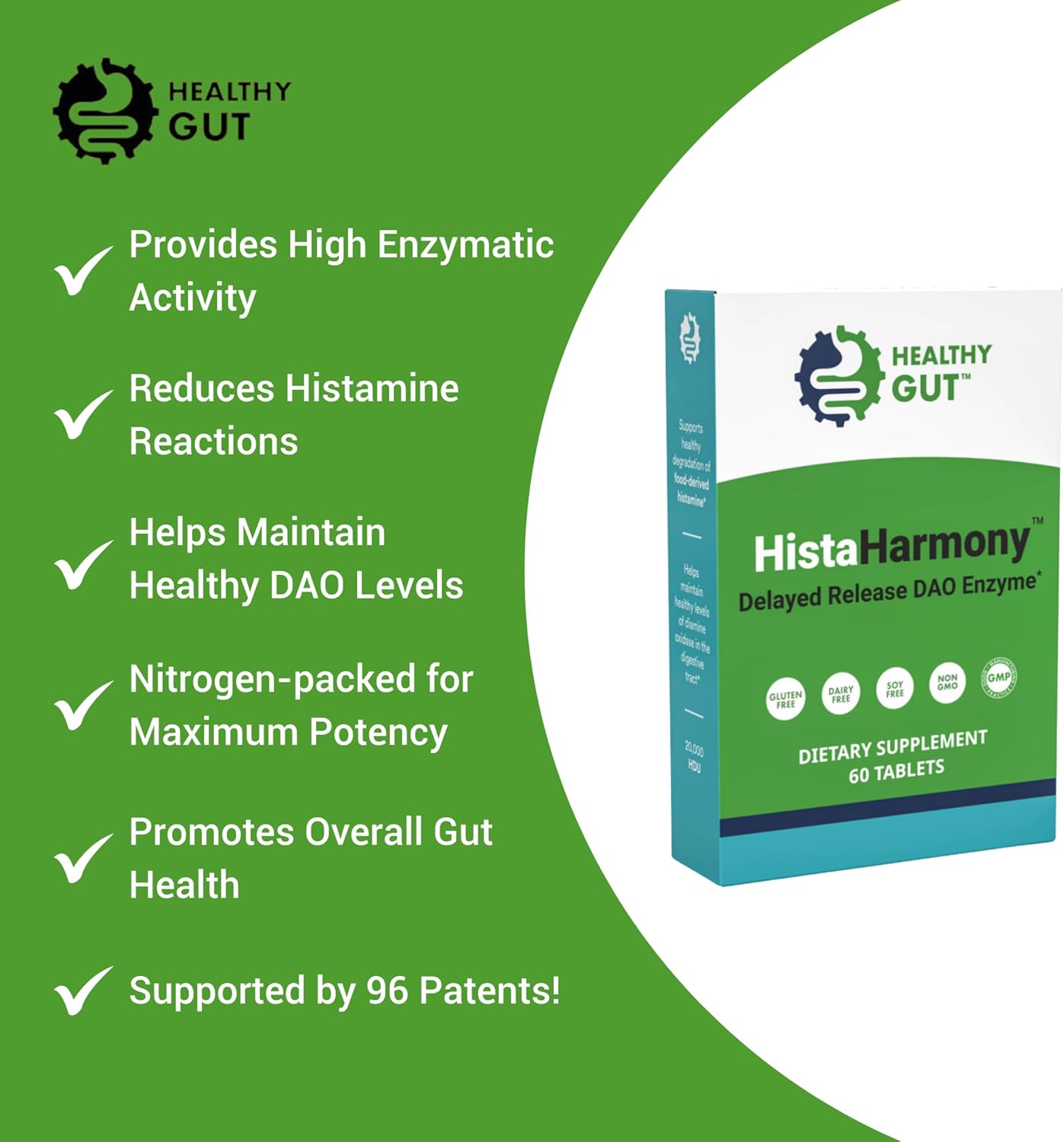 Healthy Gut HistaHarmony | Delayed Release DAO Histamine Support Enzyme | 60 Servings