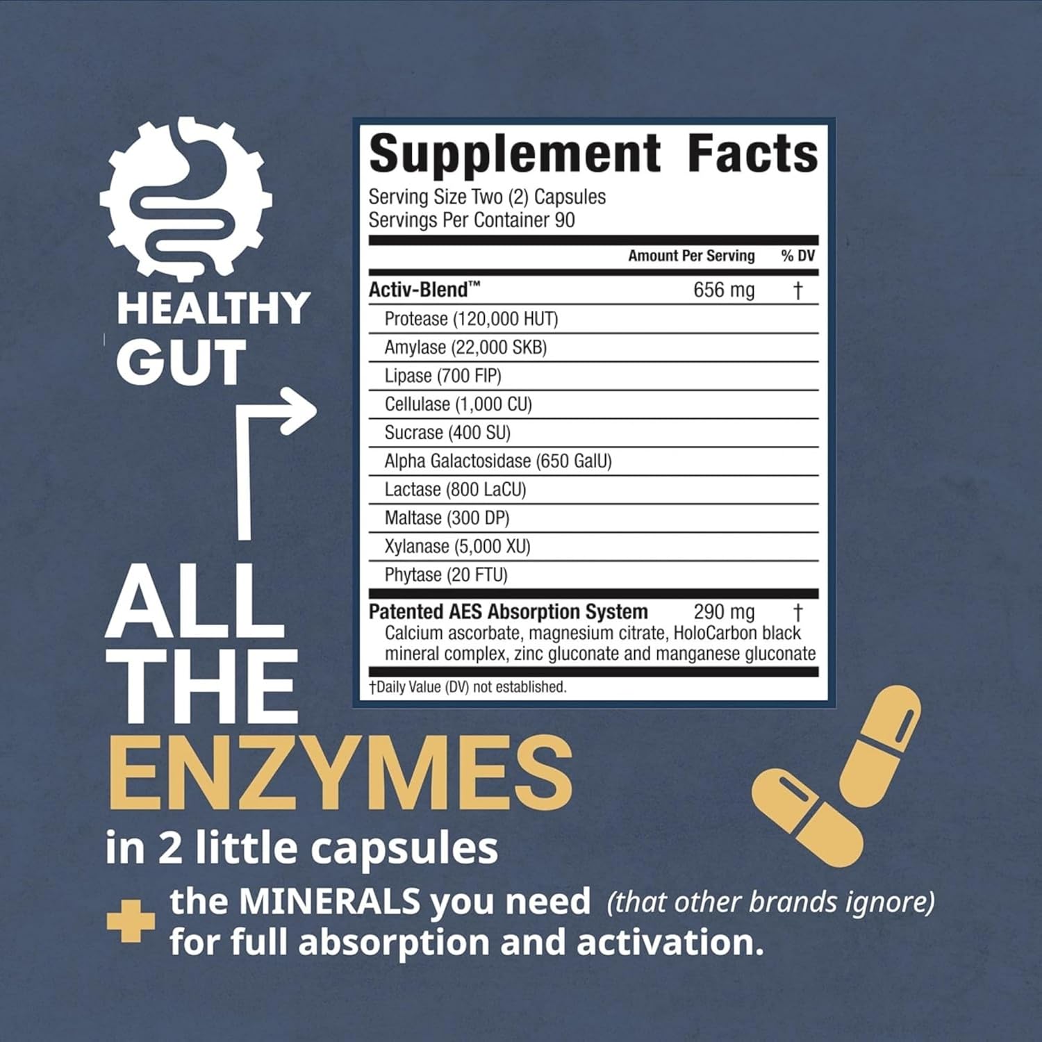 Healthy Gut HoloZyme