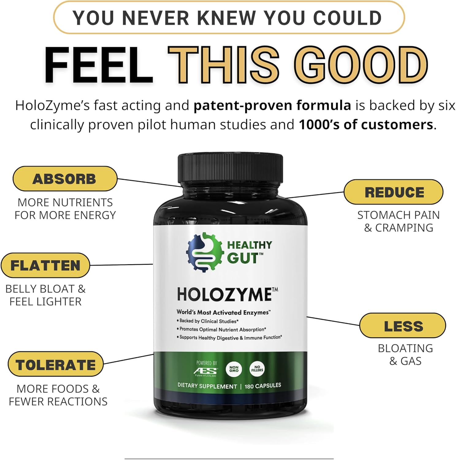 Healthy Gut HoloZyme