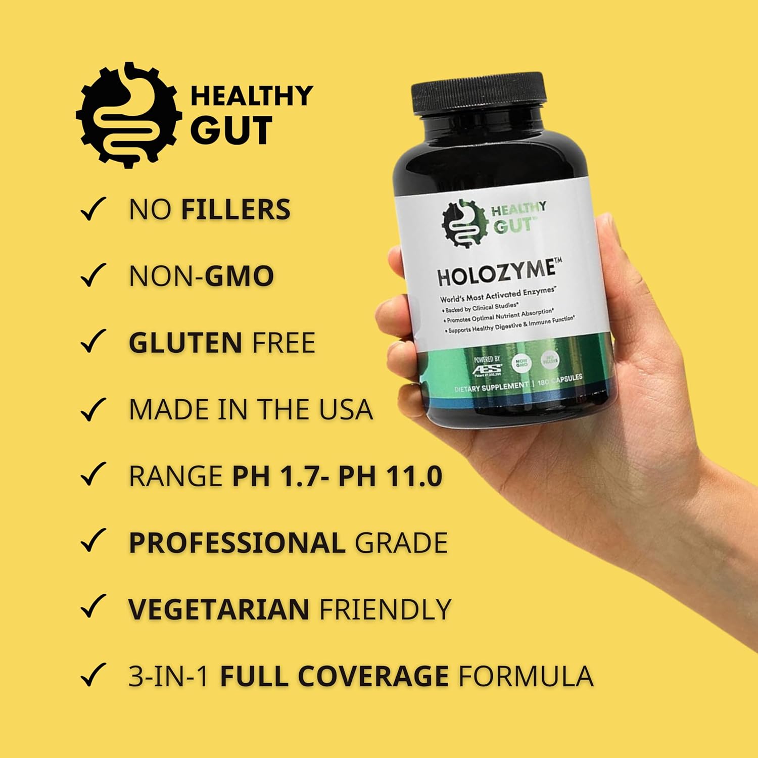 Healthy Gut HoloZyme