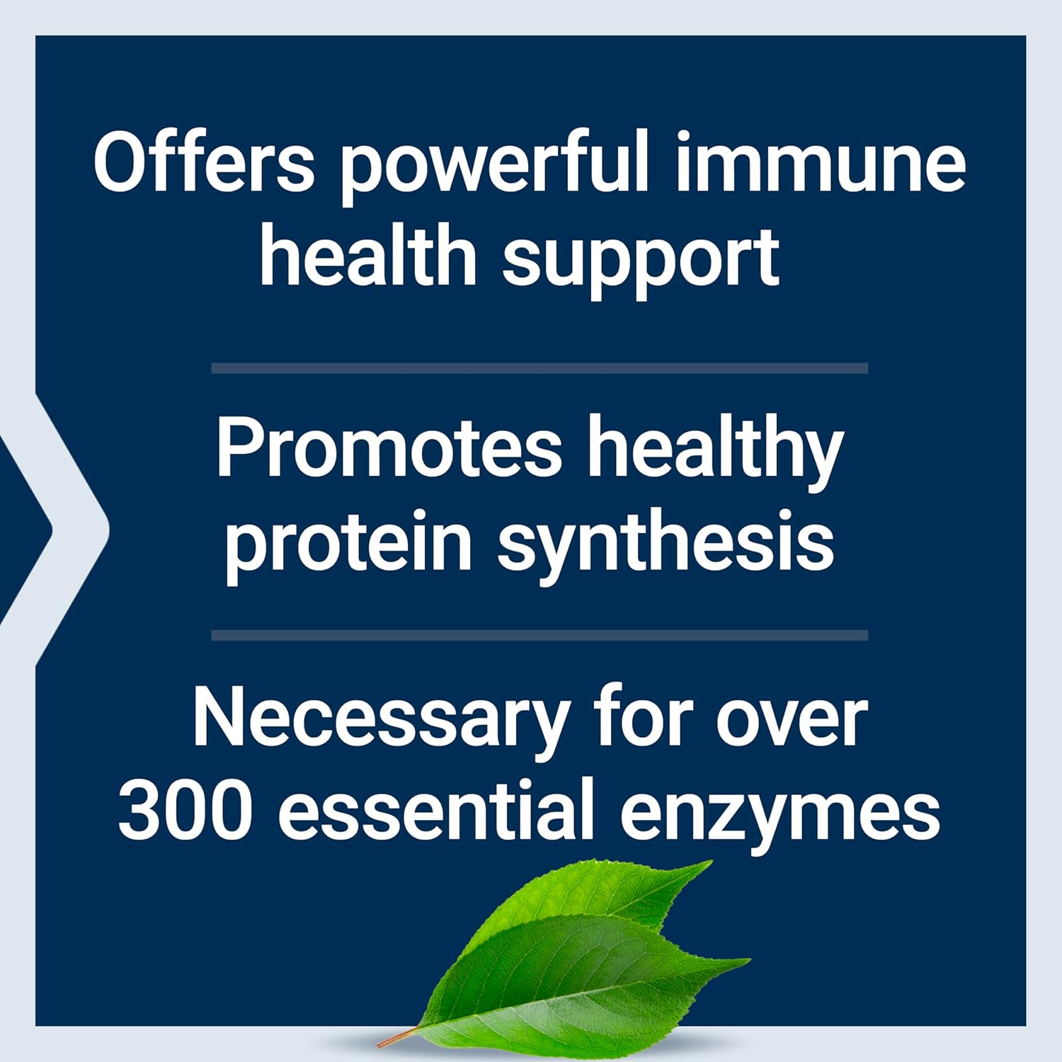 Life Extension Zinc Lozenges 60 Lozenges