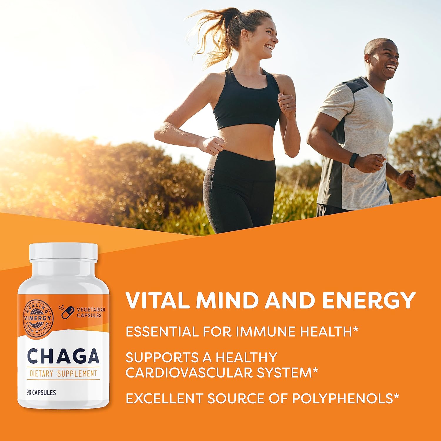 Vimergy Chaga Capsules