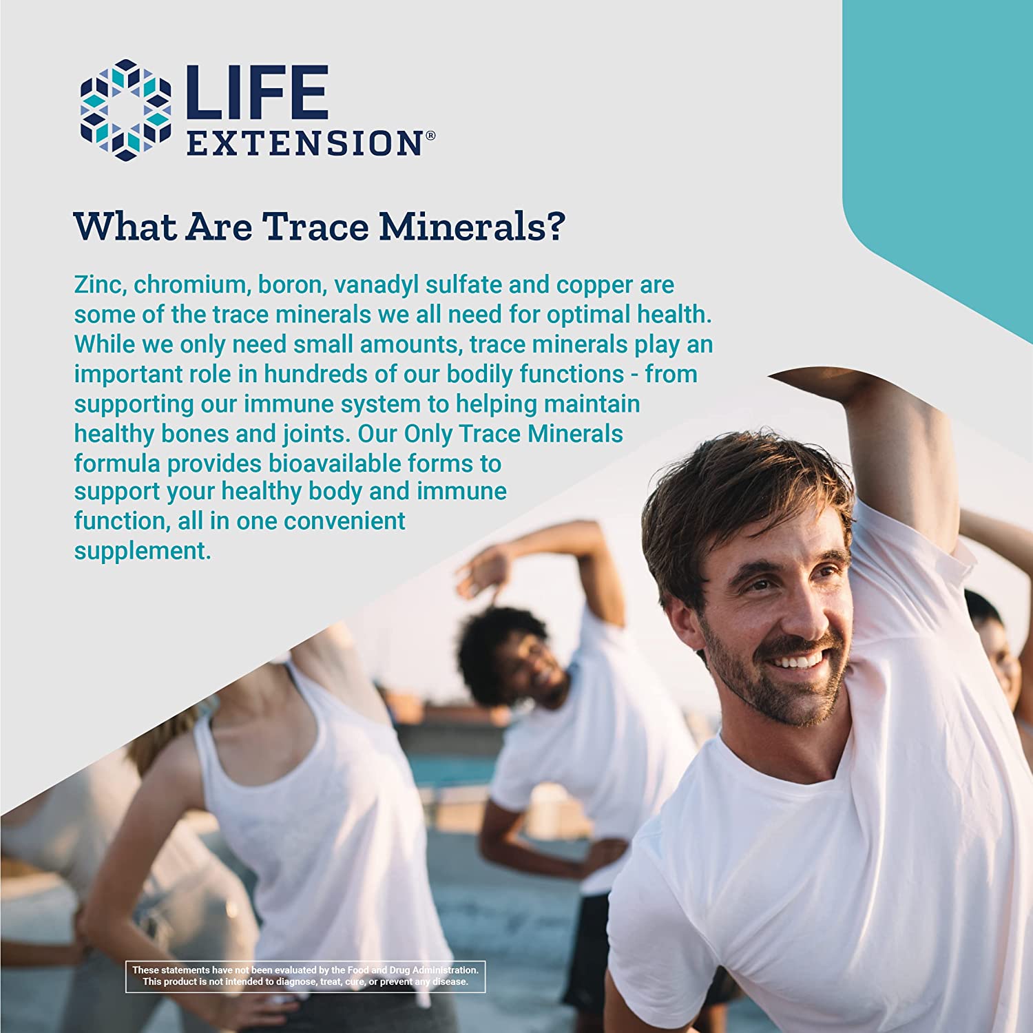 Life Extension Only Trace Minerals 90C